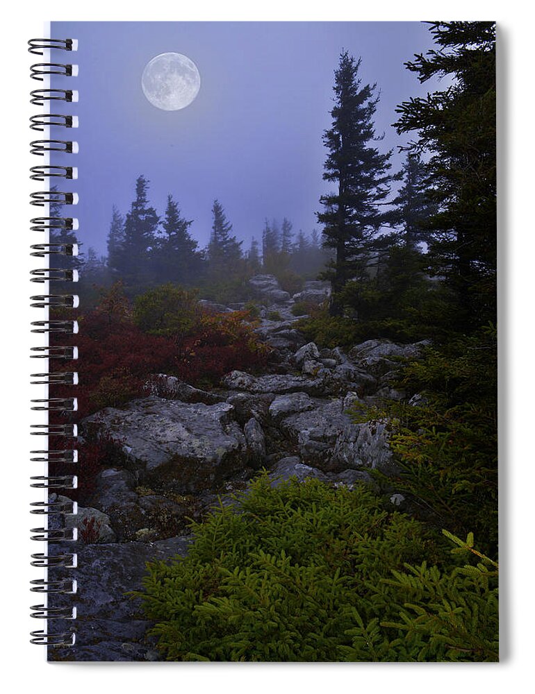Night Spiral Notebook featuring the photograph Midnight Garden by Lisa Lambert-Shank