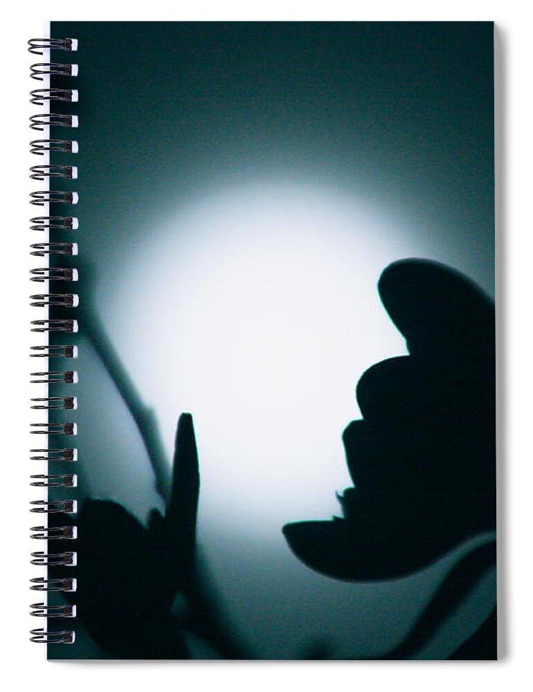 Art Prints Spiral Notebook featuring the photograph Midnight Magnolia by Nunweiler Photography
