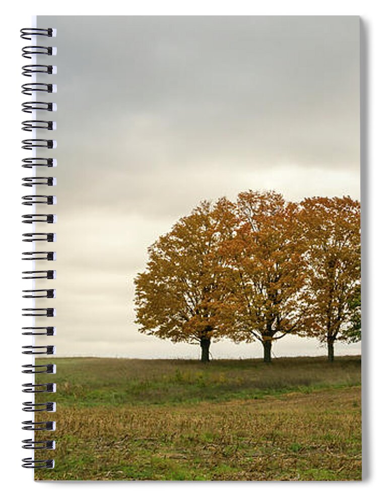 Midwest Spiral Notebook featuring the photograph Midwest by Steve L'Italien