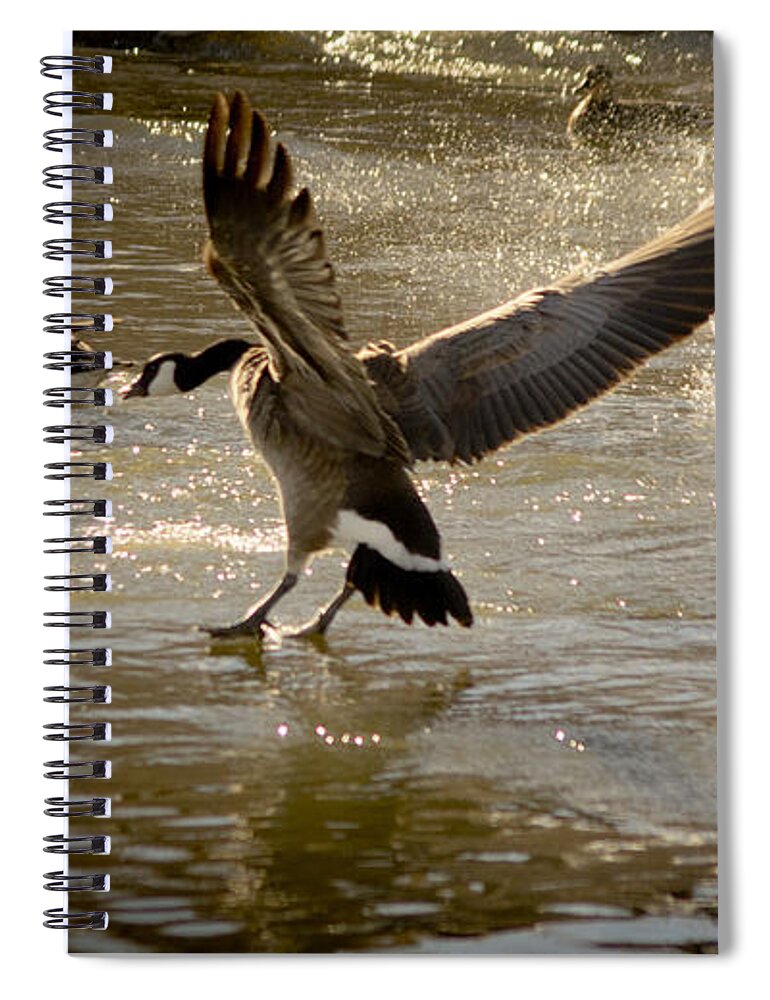 Lwater Spiral Notebook featuring the photograph Minden 4 by Catherine Sobredo