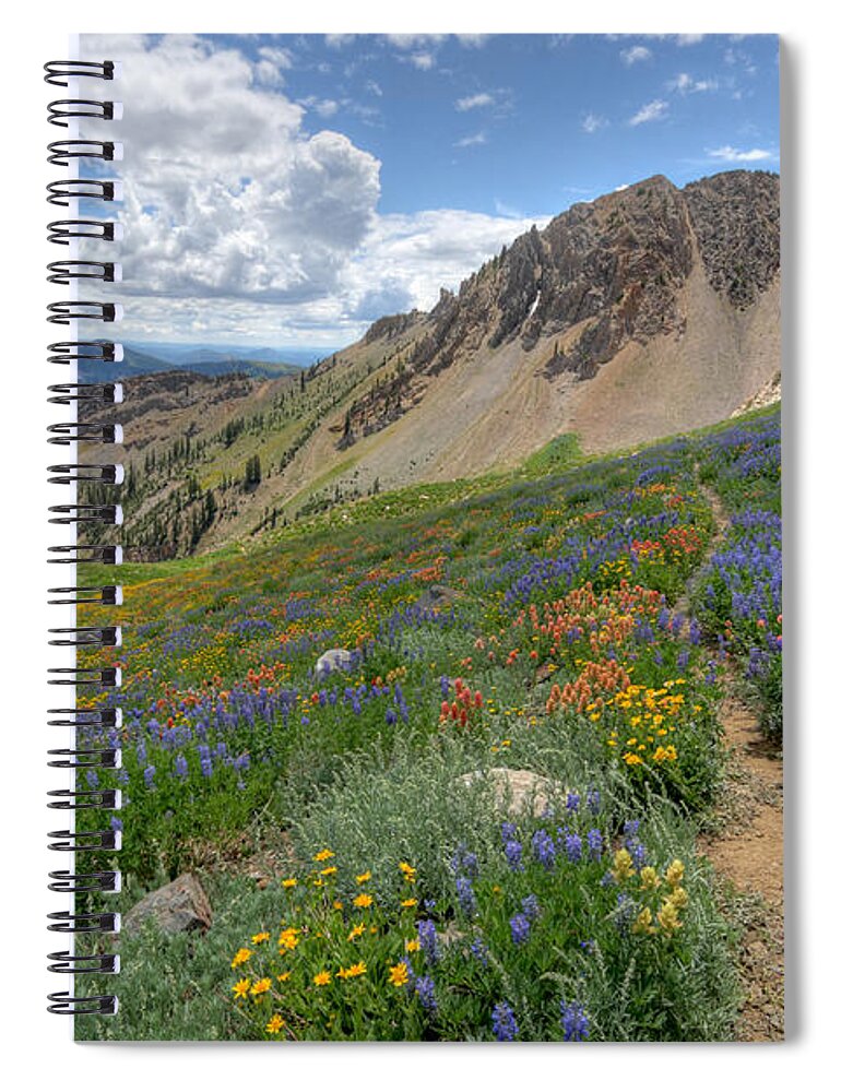 Wildflower Spiral Notebook featuring the photograph Mineral Basin Wildflowers by Brett Pelletier