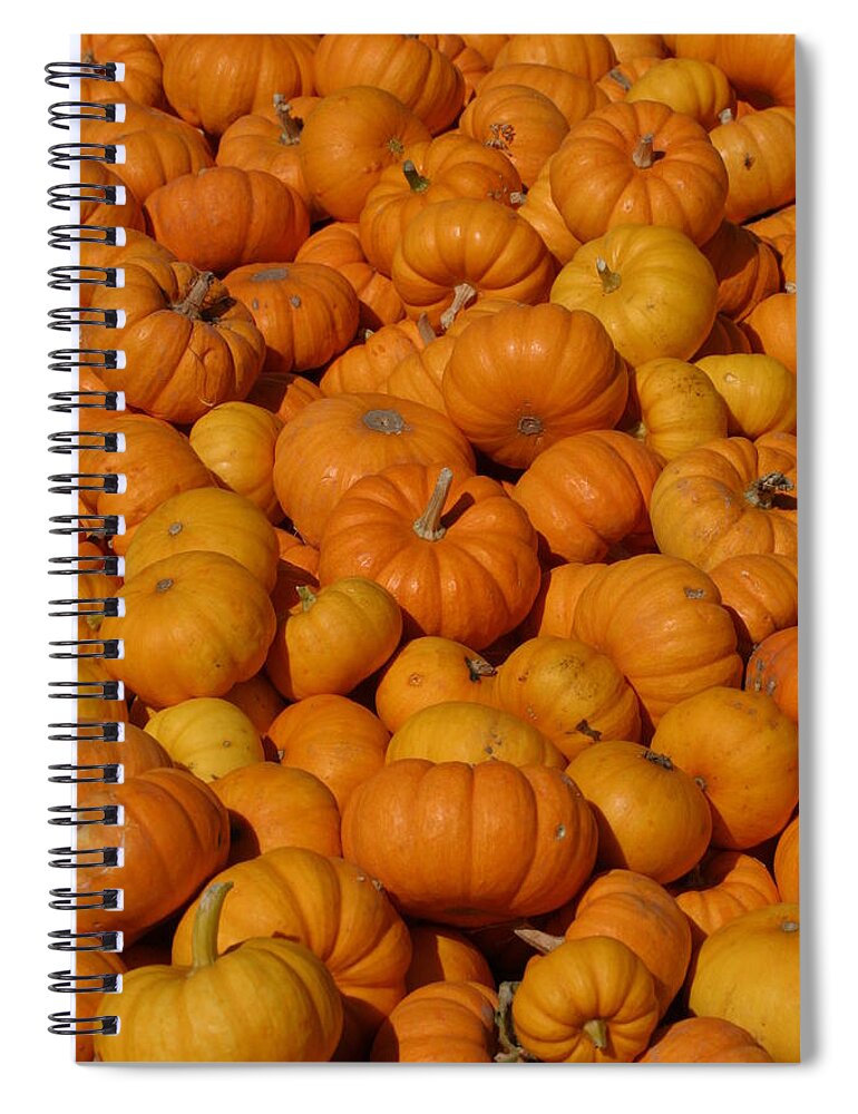 Orange Spiral Notebook featuring the photograph Mini Pumpkins by Jeff Floyd