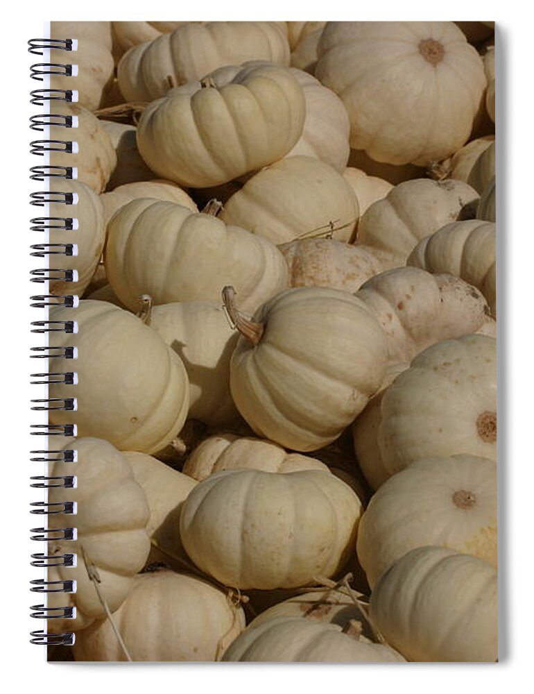 White Spiral Notebook featuring the photograph Mini White Pumpkins by Jeff Floyd CA