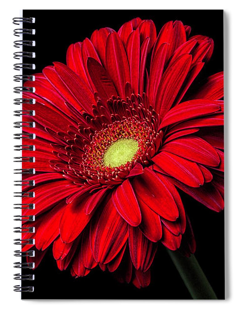 Red Spiral Notebook featuring the photograph Minor Imperfections by Zev Steinhardt