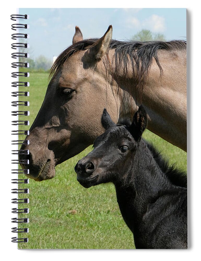 Horse Spiral Notebook featuring the photograph Mischief by Jessica Myscofski