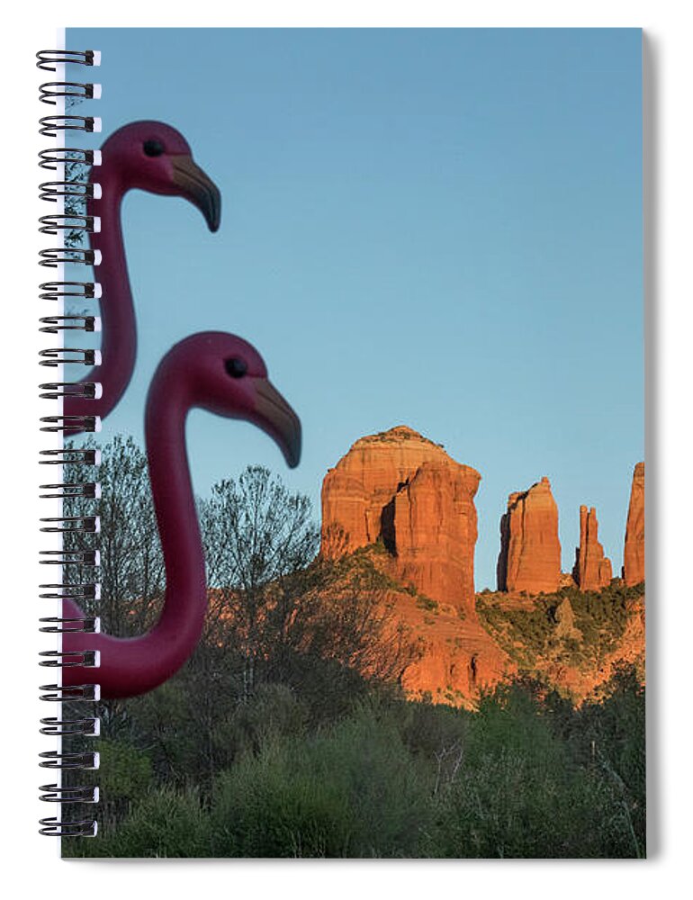 Cathedral Rock Spiral Notebook featuring the photograph Missi and Sippi visiting Cathedral Rock by Garry McMichael