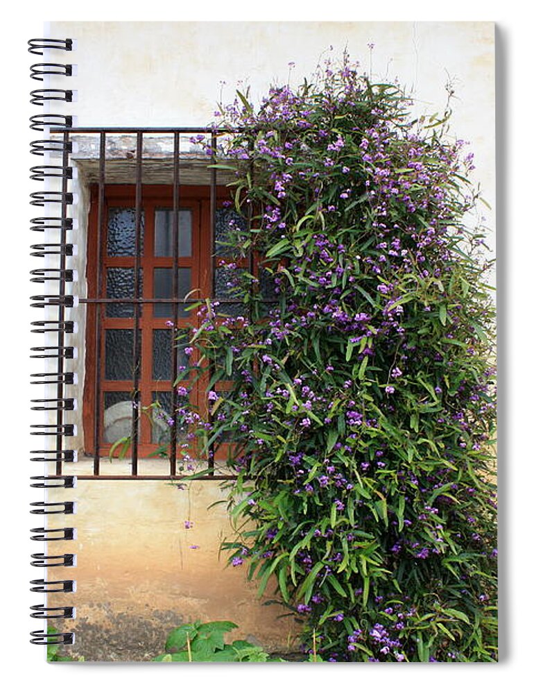 Purple Flowers Spiral Notebook featuring the photograph Mission Window with Purple Flowers by Carol Groenen