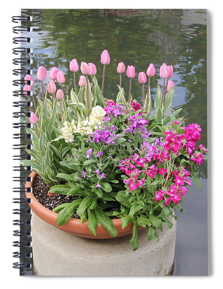 Flowers Spiral Notebook featuring the photograph Mixed Flower Planter by Allen Nice-Webb