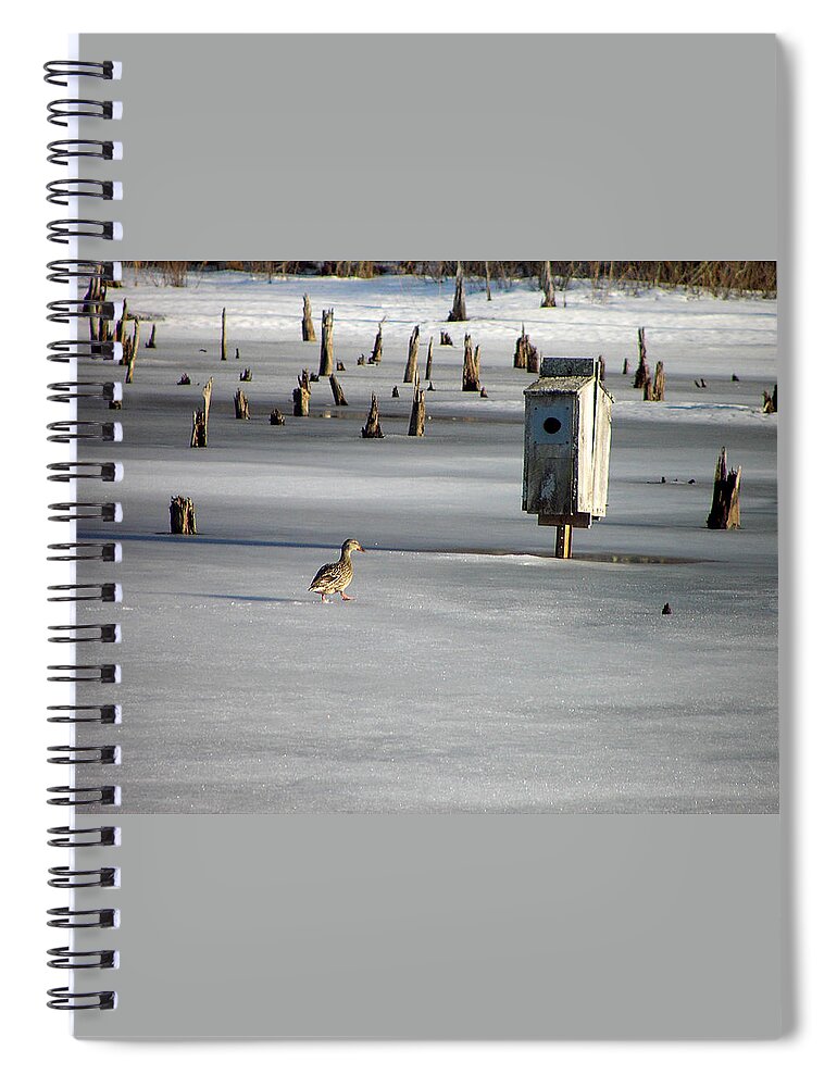 Mallard Spiral Notebook featuring the photograph Mom I'm Home by Gary Blackman