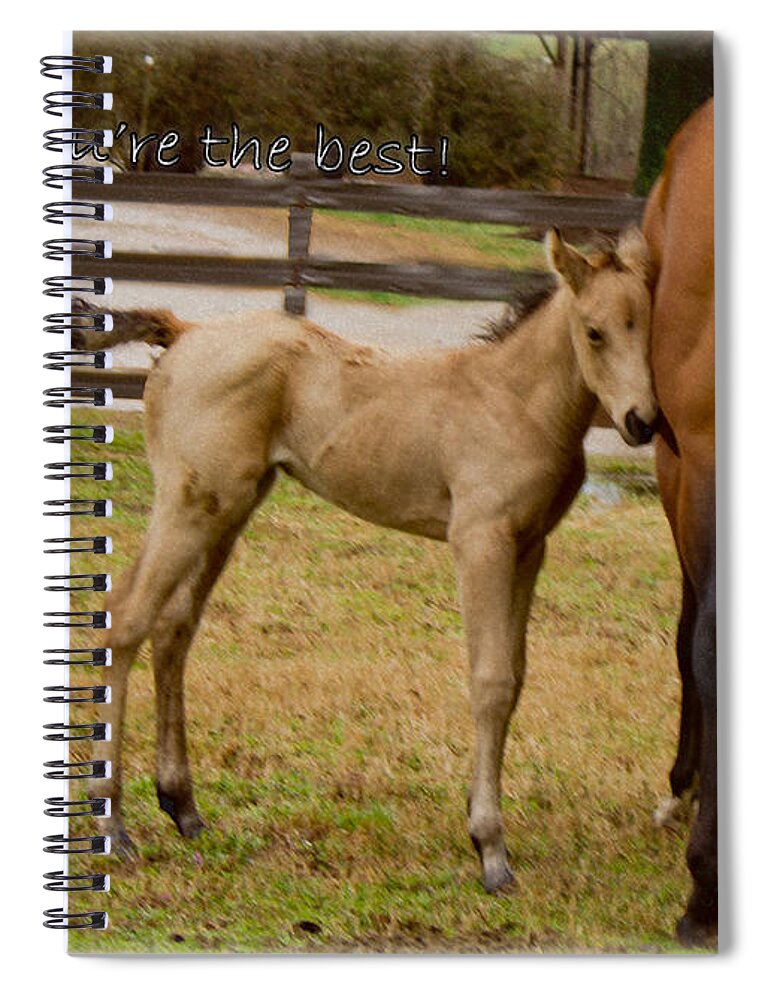 Sandra Clark Spiral Notebook featuring the photograph Mom is the Best by Sandra Clark