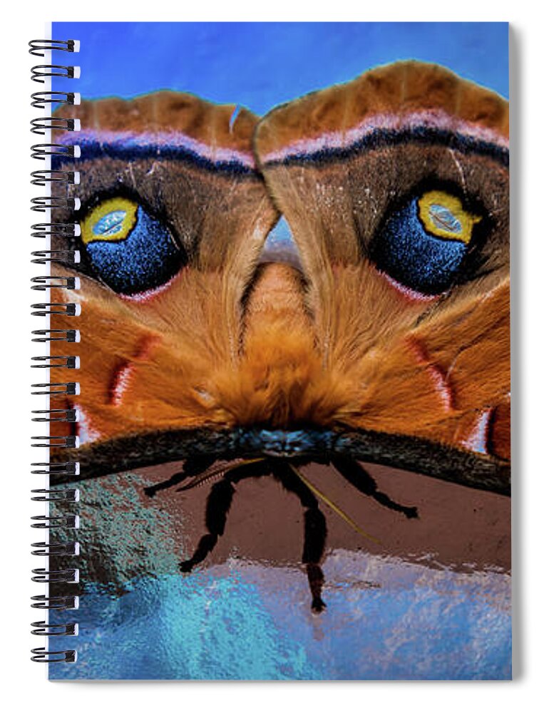 Royal Moths Spiral Notebook featuring the photograph Moments We Cherish by Karen Wiles