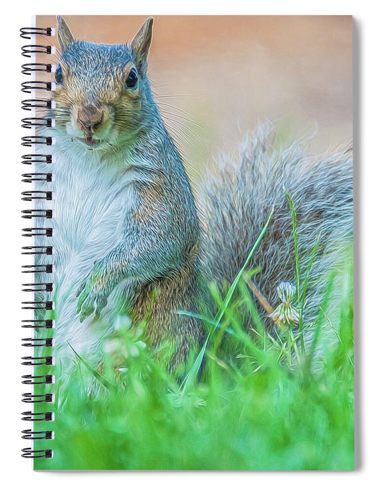 Mammal Spiral Notebook featuring the photograph Momma Squirrel by Cathy Kovarik