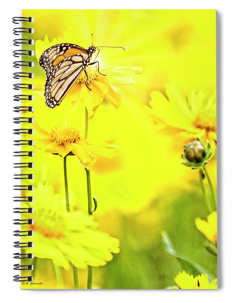 Monarch Butterfly Spiral Notebook featuring the digital art Monarch Butterfly on Tickseed Flowers by A Macarthur Gurmankin