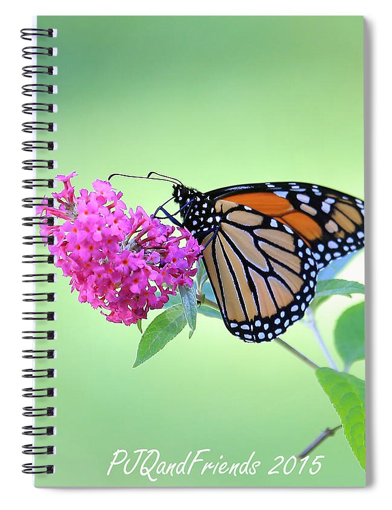 Monarch Butterfly On Butterfly Bush Spiral Notebook featuring the photograph Monarch Butterfly by PJQandFriends Photography