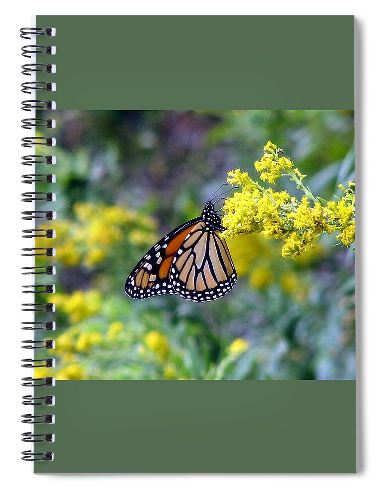 Monarch Spiral Notebook featuring the photograph Monarch on Goldenrod 1 by George Jones