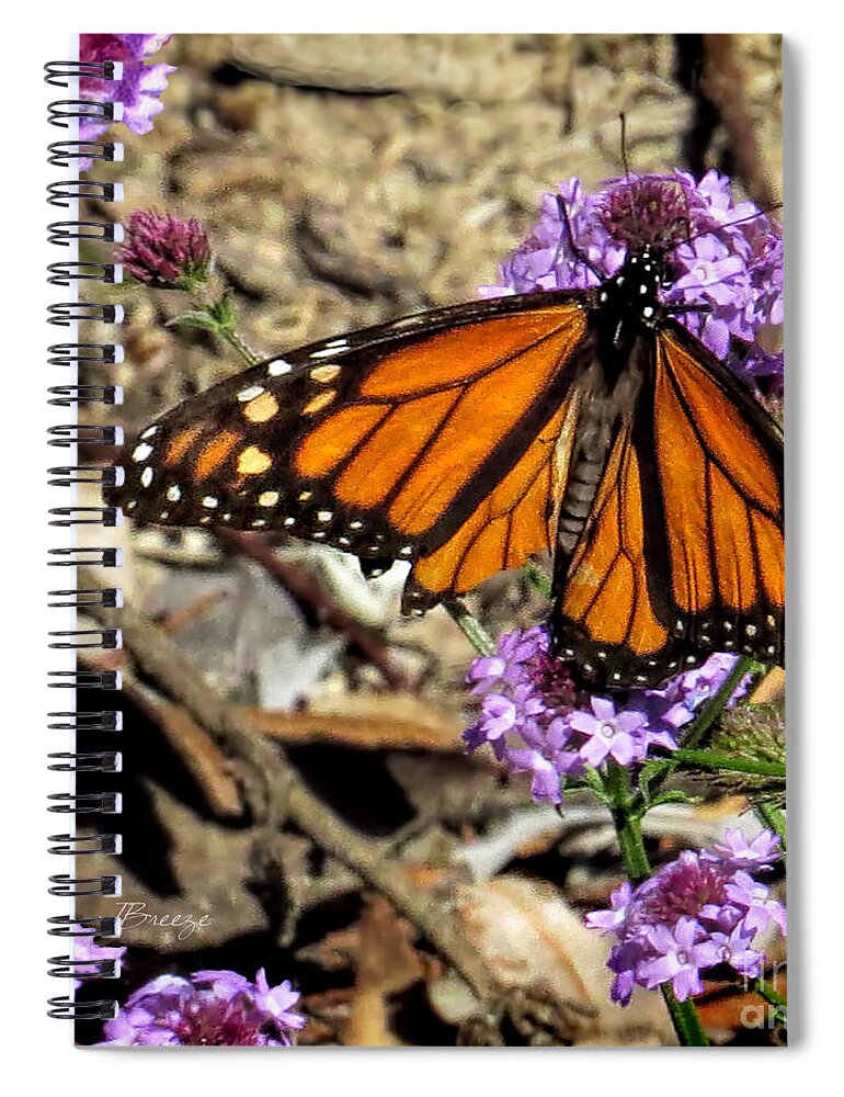 Monarch Butterfly Spiral Notebook featuring the photograph Ripped Wing by Jennie Breeze