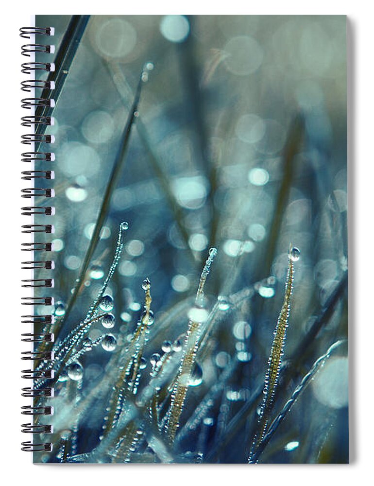Rain Drops Spiral Notebook featuring the photograph Mondo by Aimelle Ml