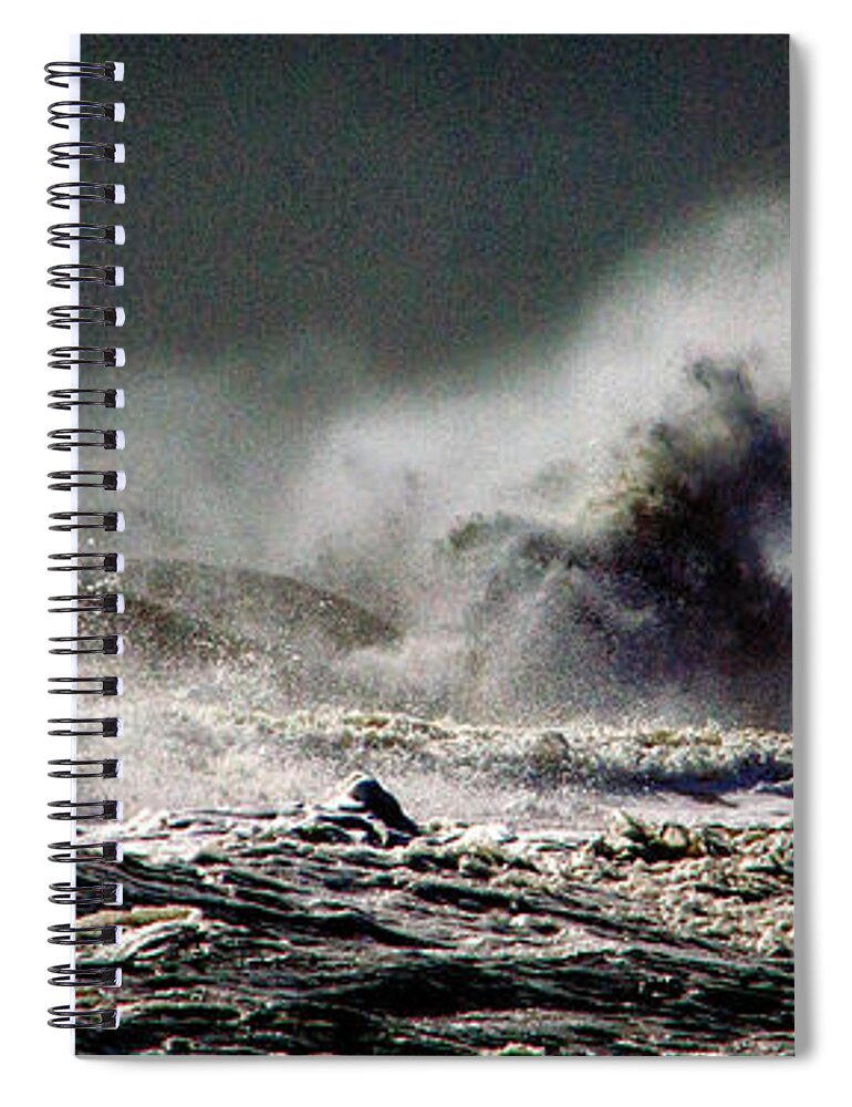 Sea Monster Spiral Notebook featuring the photograph Monster of the Seas by Bill Swartwout
