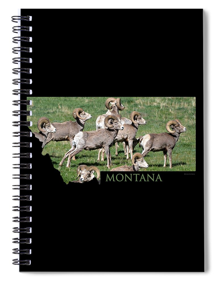 Montana Spiral Notebook featuring the photograph Montana -Bighorn Rams by Whispering Peaks Photography