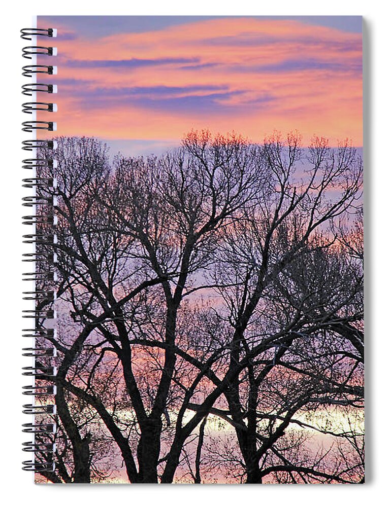 Tree Spiral Notebook featuring the photograph Montana Sunrise Tree Silhouette by Jennie Marie Schell