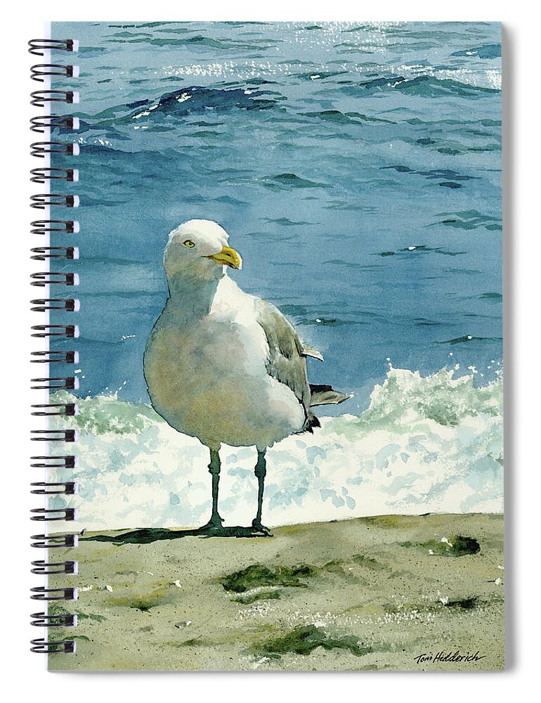 Seashore Print Spiral Notebook featuring the painting Montauk Gull by Tom Hedderich