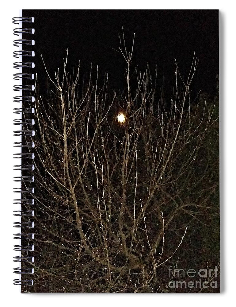 Tree Spiral Notebook featuring the photograph Moonlight Branches by Diamante Lavendar