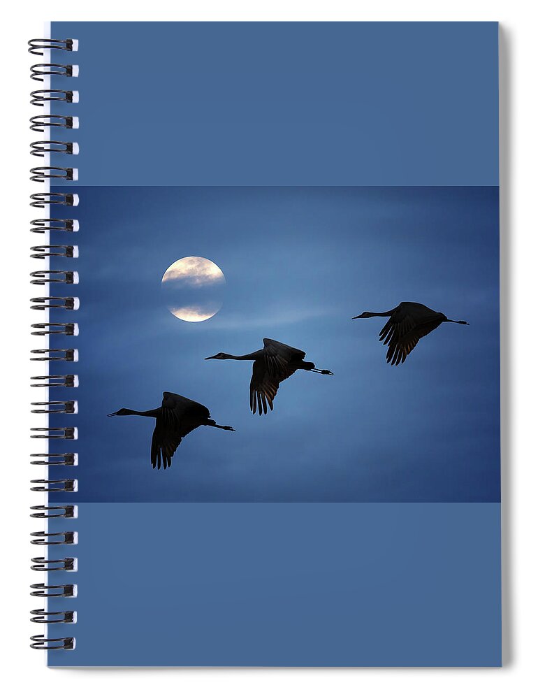Sandhill Crane Spiral Notebook featuring the photograph Moonlit Flight by Susan Rissi Tregoning