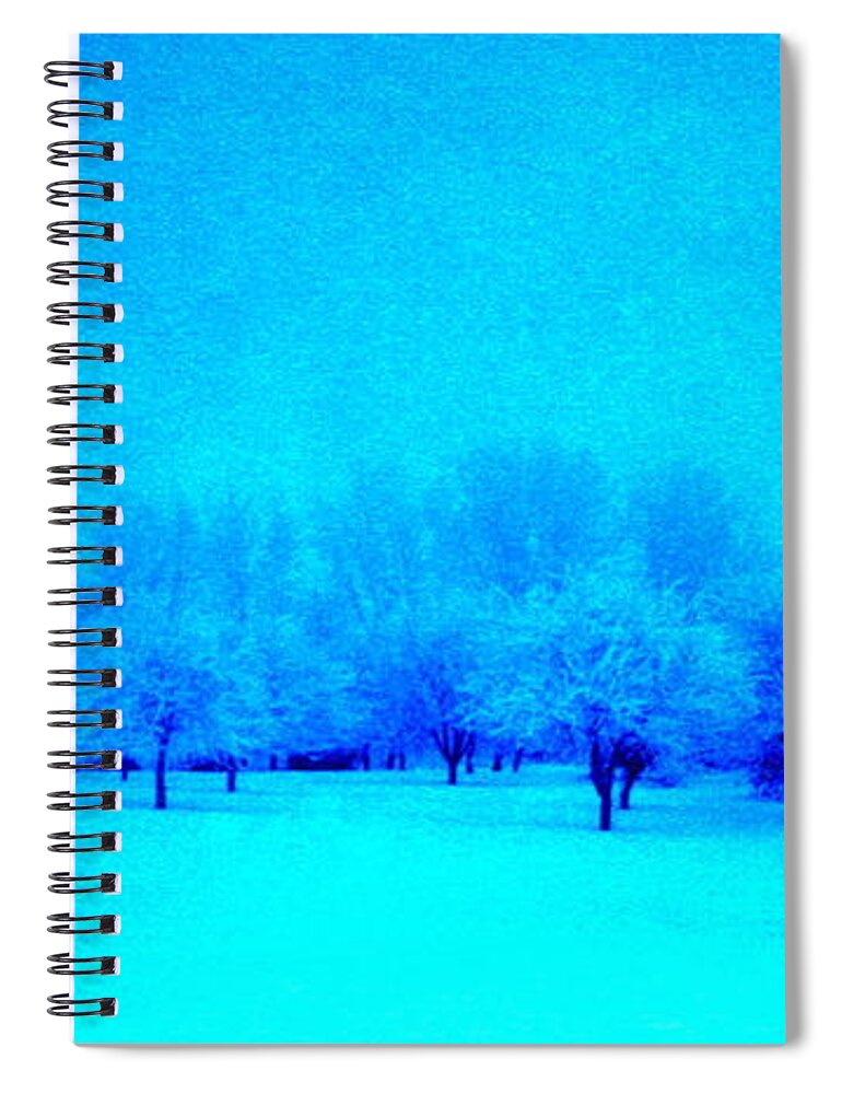 Winter Scene Spiral Notebook featuring the photograph Moonlite by Julie Lueders 