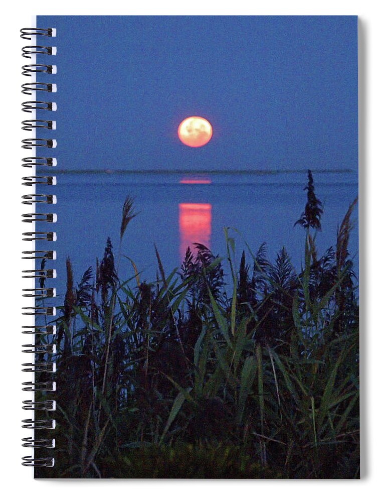 Moonset Spiral Notebook featuring the photograph Moonset by Newwwman