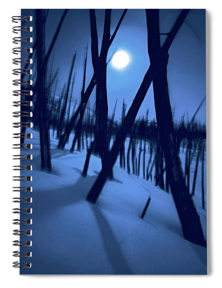 The Walkers Spiral Notebook featuring the photograph Moonshadows by The Walkers