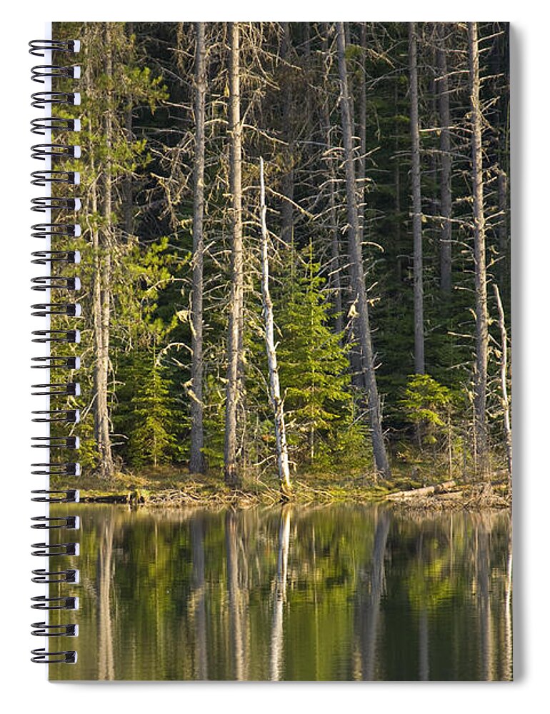 Trees Spiral Notebook featuring the photograph Moose Creek Reservoir by Idaho Scenic Images Linda Lantzy