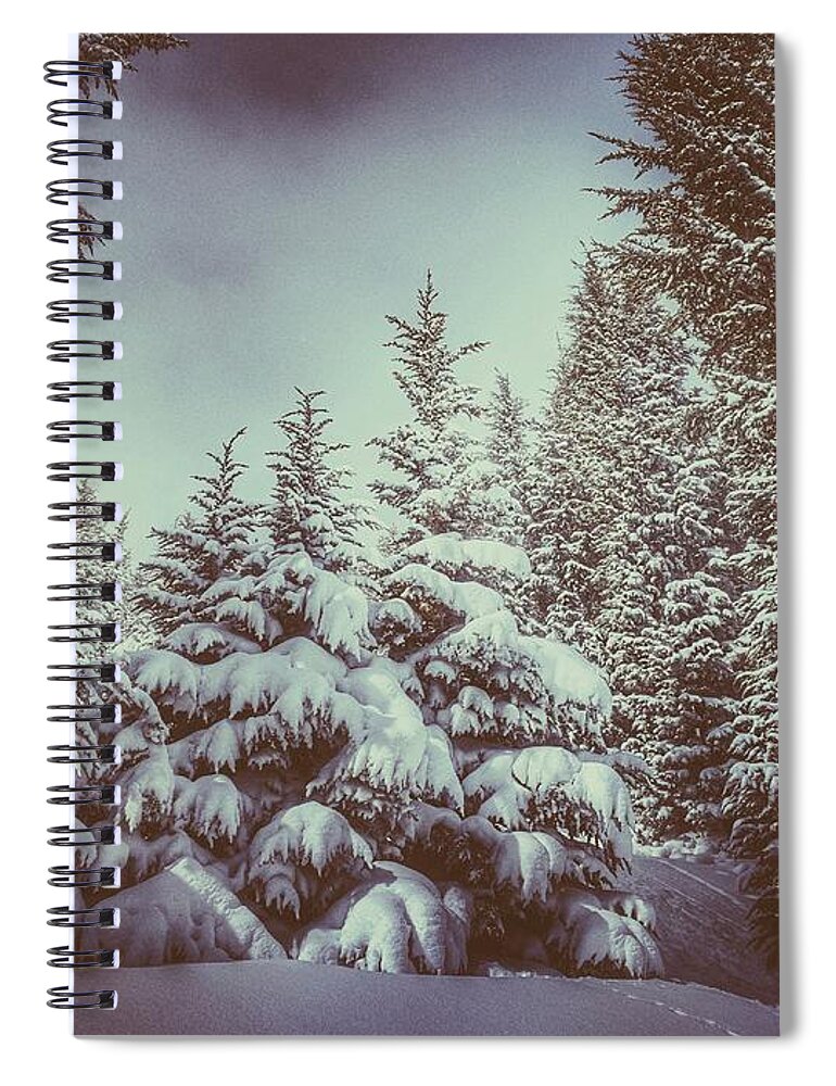 Snow Spiral Notebook featuring the photograph Morning Blanket by Mark Ross