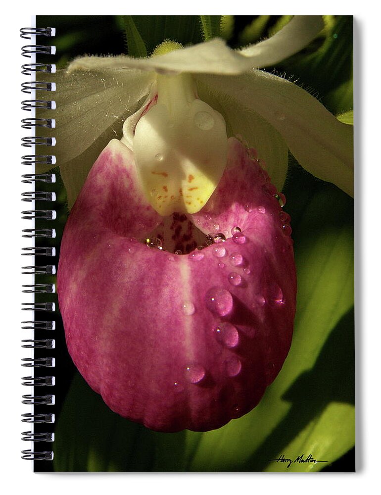 Flowers Spiral Notebook featuring the pyrography Morning Dew Drops by Harry Moulton