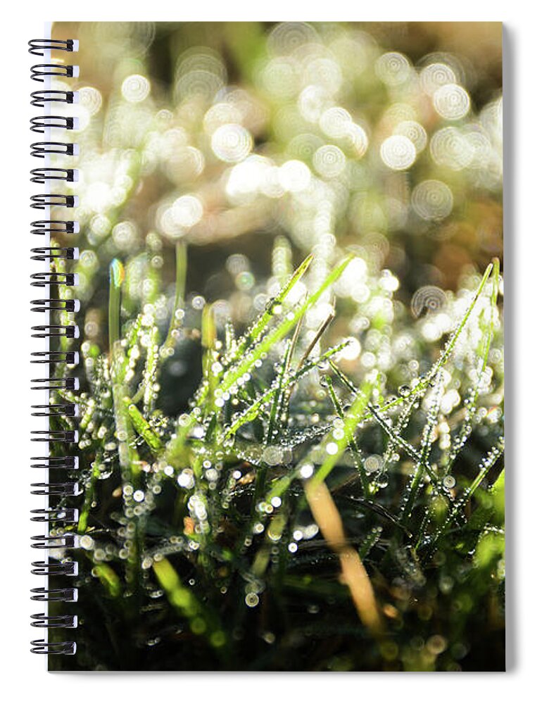 Morning Spiral Notebook featuring the photograph Morning Dew on Green by Adrian De Leon Art and Photography