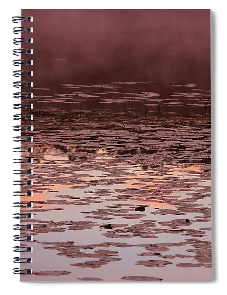 Bonnie Follett Spiral Notebook featuring the photograph Morning Fog in the Lily Patch in Mauve by Bonnie Follett