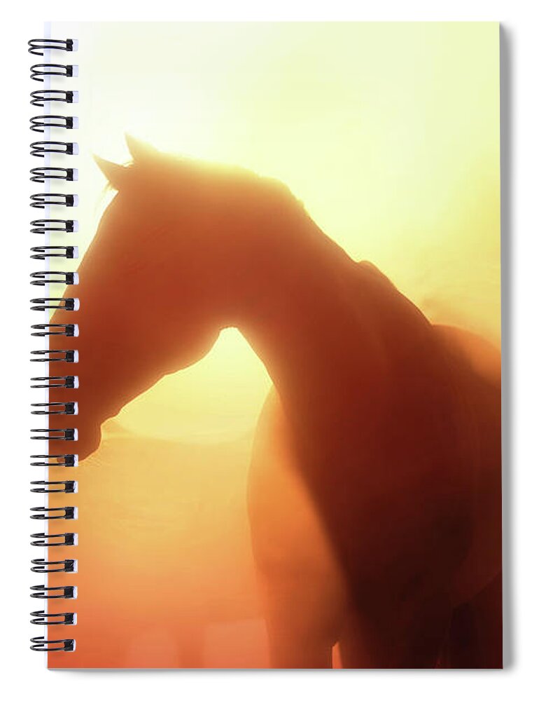Three Bars Ranch Spiral Notebook featuring the photograph Morning Glory - Three Bars Ranch by Ryan Courson