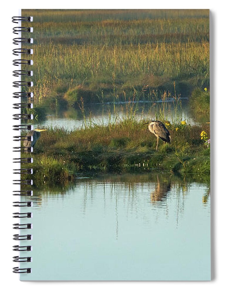 Blue Spiral Notebook featuring the photograph Morning Herons by Douglas Wielfaert
