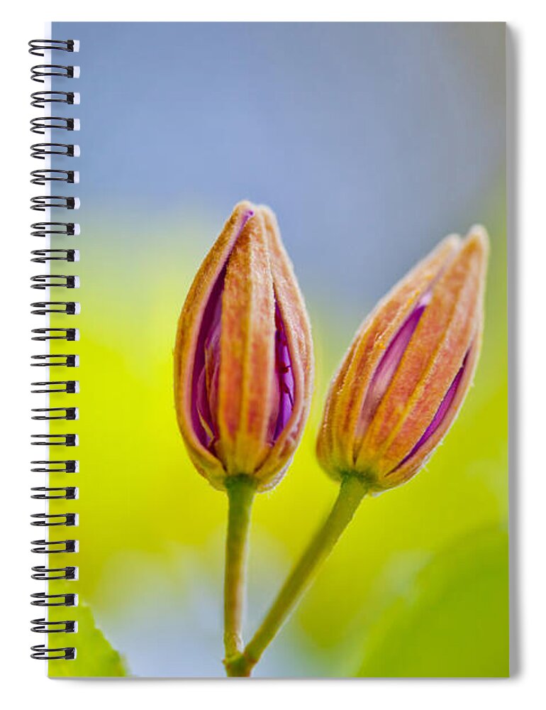 Leaf Spiral Notebook featuring the photograph Morning Joy by Az Jackson