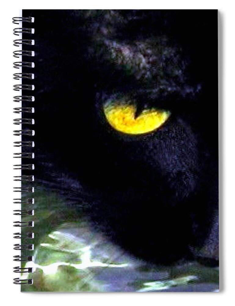 Cat Spiral Notebook featuring the photograph Morning Laps by Will Borden