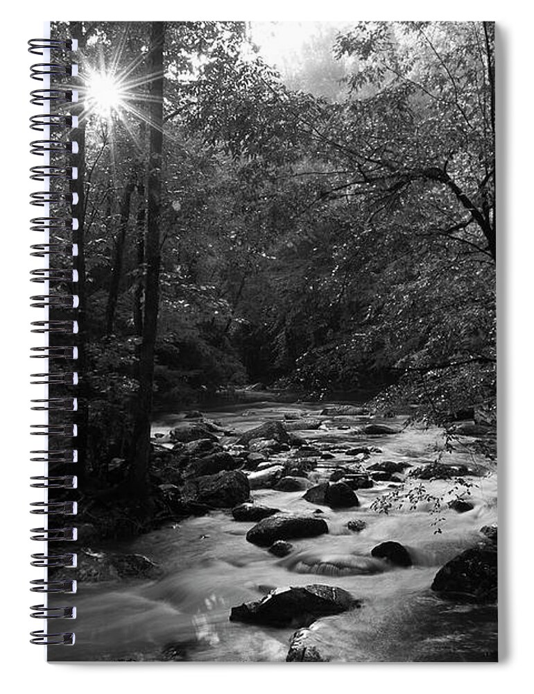 River Spiral Notebook featuring the photograph Morning Light On The Stream by Mike Eingle