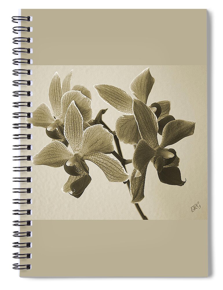 Orchid Spiral Notebook featuring the photograph Morning Orchid by Ben and Raisa Gertsberg