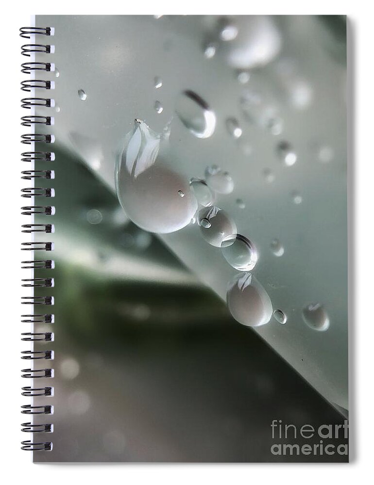 Droplets Spiral Notebook featuring the photograph Morning Shower by Diana Rajala
