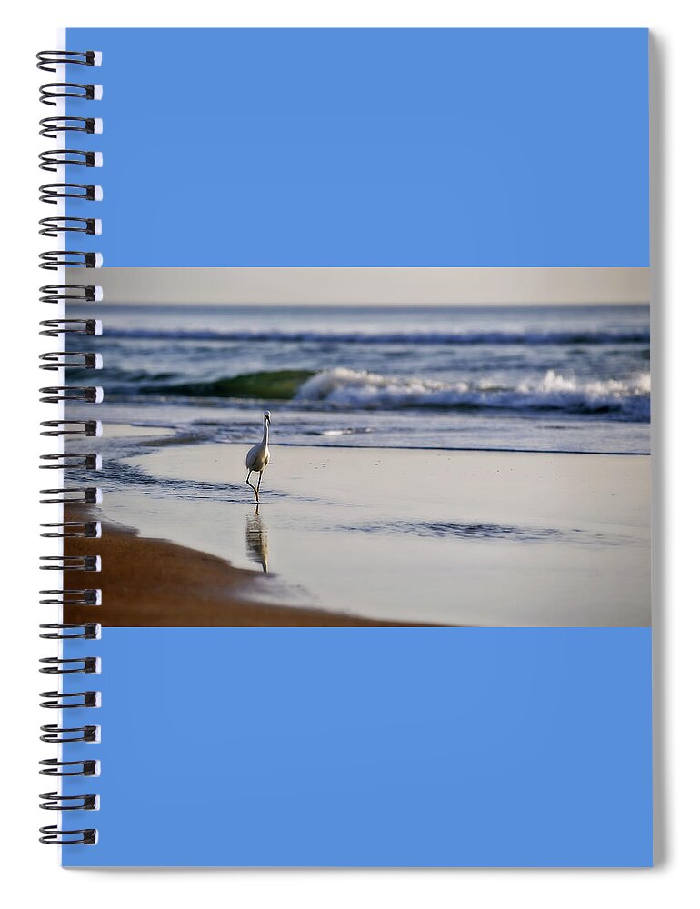 Bird Spiral Notebook featuring the photograph Morning Walk At Ormond Beach by Steven Sparks