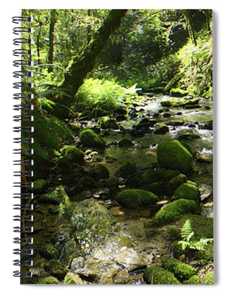 Adria Trail Spiral Notebook featuring the photograph Mossy Banks by Adria Trail