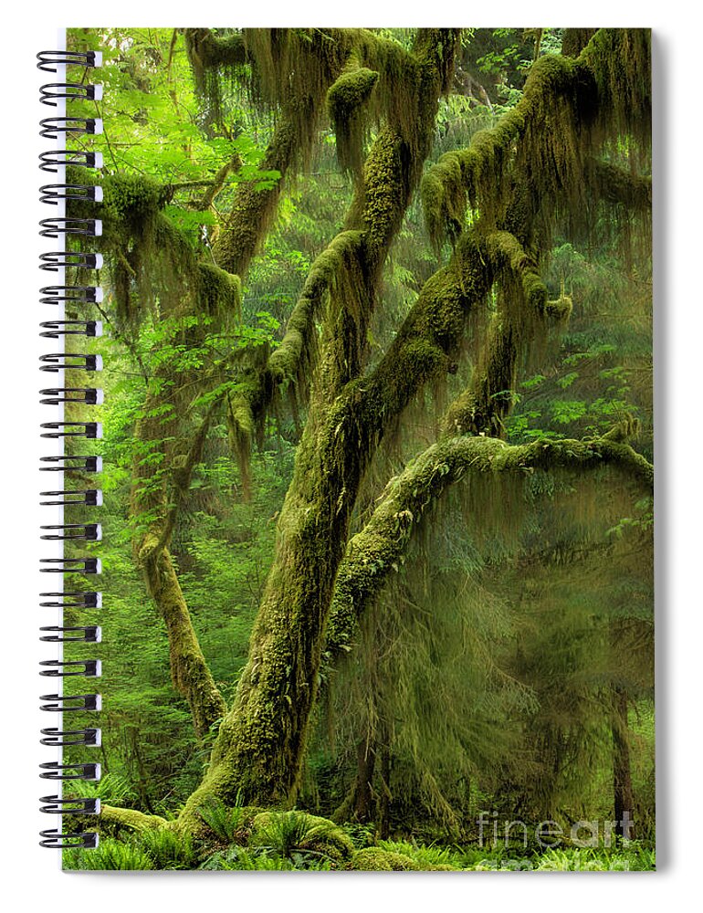  Oregon Spiral Notebook featuring the photograph Mossy Maple by Timothy Hacker