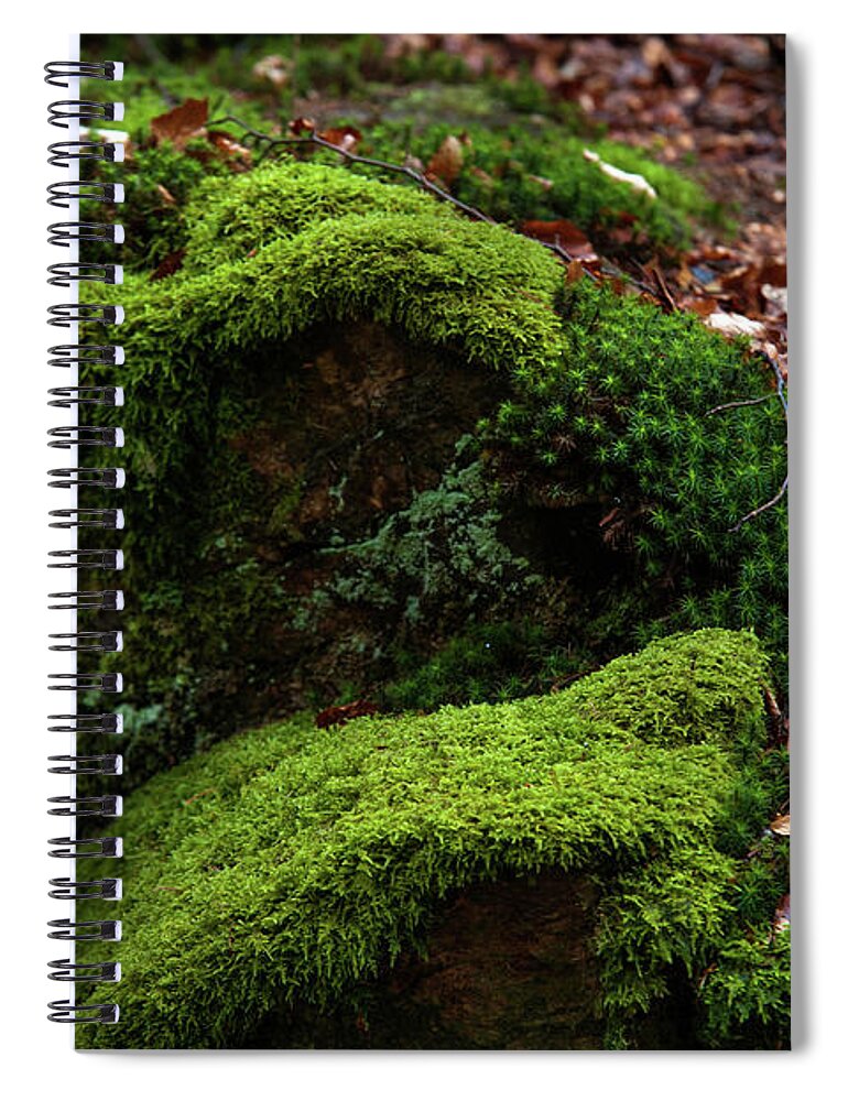 Jenny Rainbow Fine Art Photography Spiral Notebook featuring the photograph Mossy Rocks in Spring Woods by Jenny Rainbow