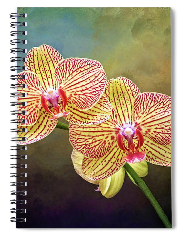 Moth Orchids Spiral Notebook featuring the photograph Moth Orchids by Carolyn Derstine