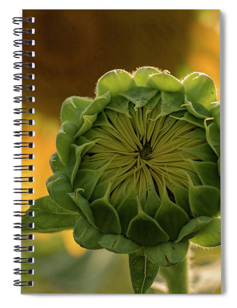 Sunflower Spiral Notebook featuring the photograph Mother and Child by Holly Ross