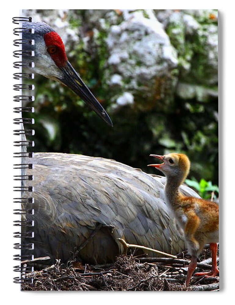 Mother Spiral Notebook featuring the photograph Mother listening by Barbara Bowen