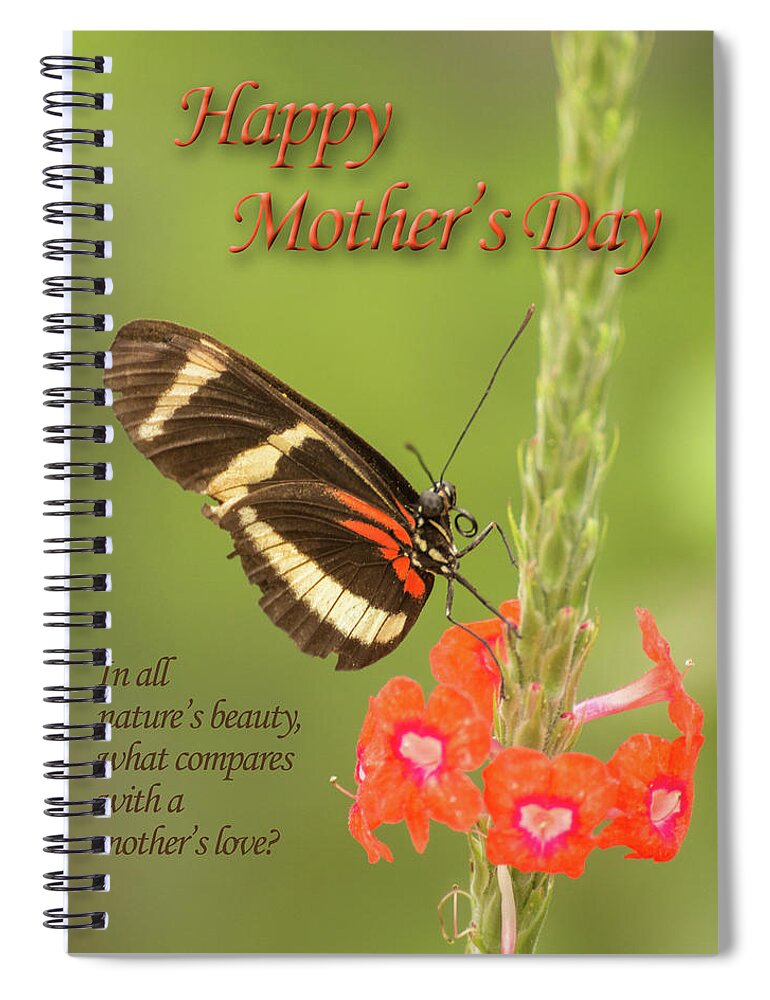American Southwest Spiral Notebook featuring the photograph Mother's Day-Butterfly by James Capo